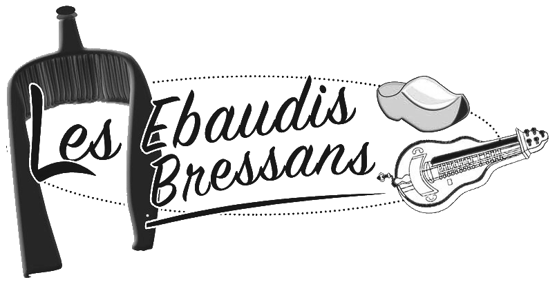 logo ebaudis